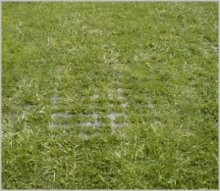 PERFO reinforcement solution