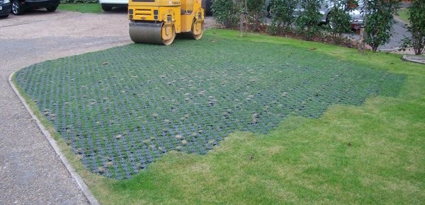 Front Lawn 2
